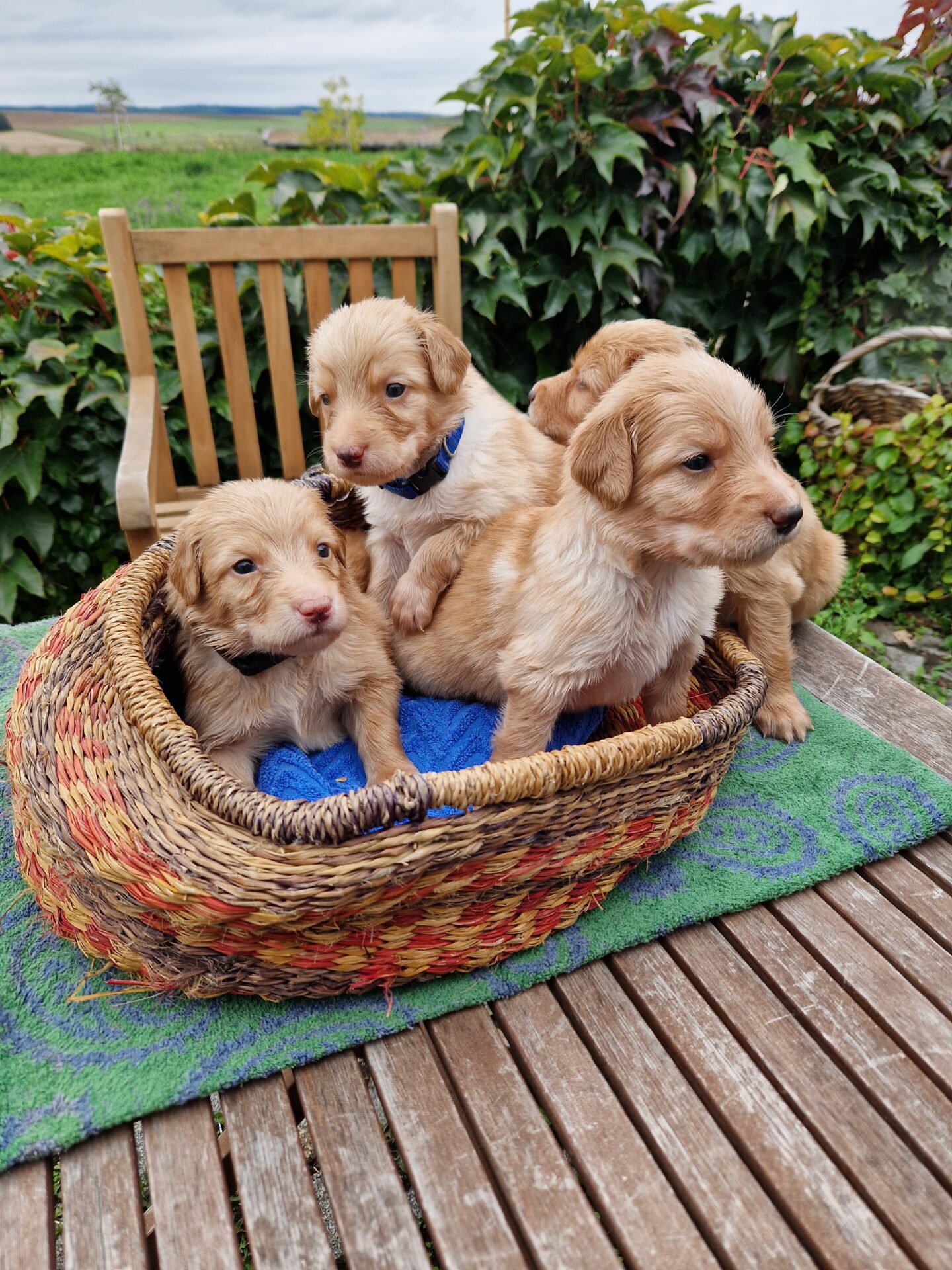 4 von der Tankstelle