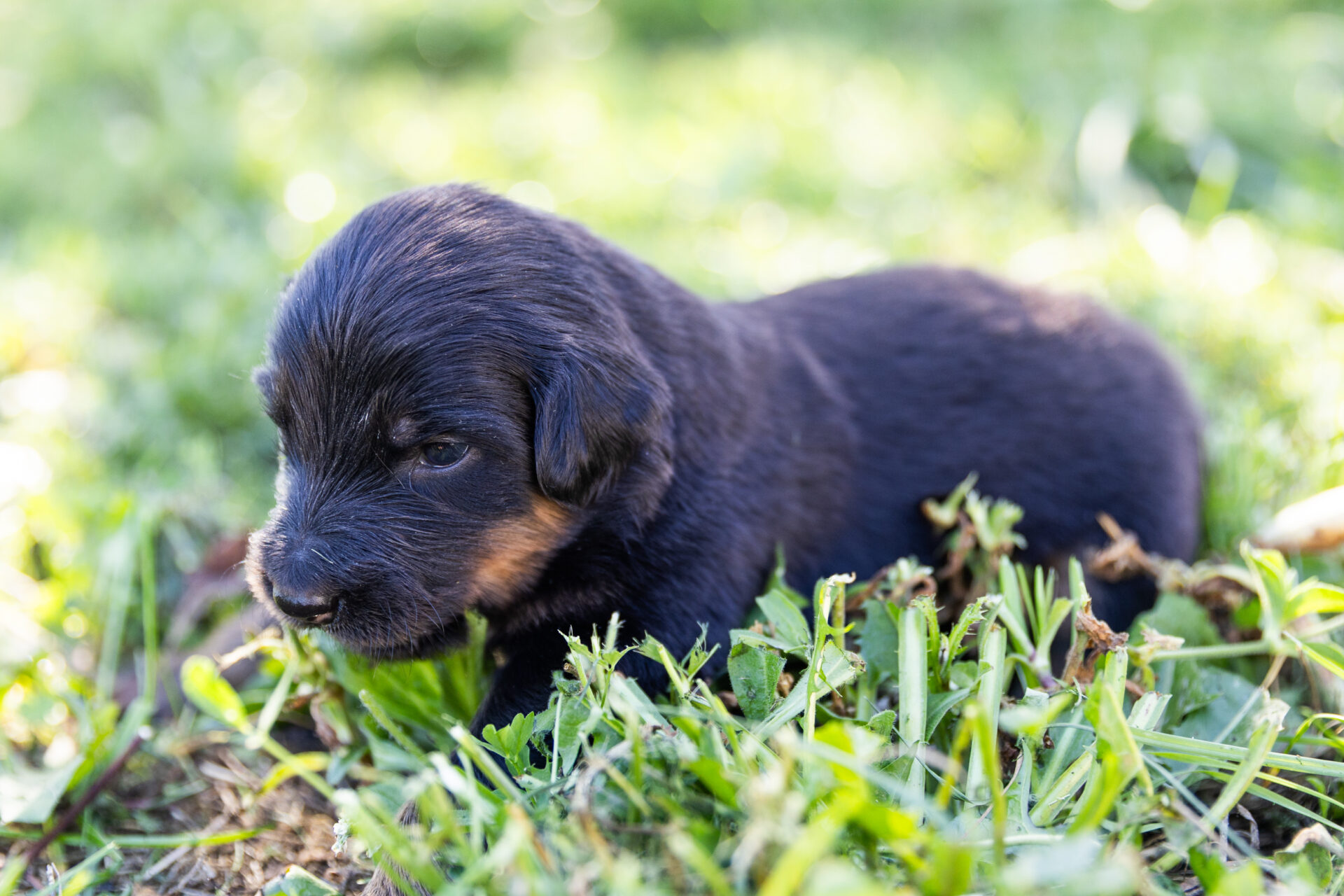 1. Ausflug ins Grüne